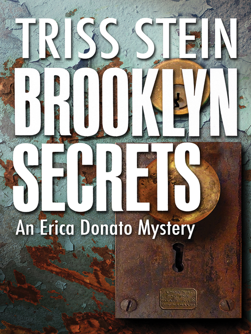 Title details for Brooklyn Secrets by Triss Stein - Available